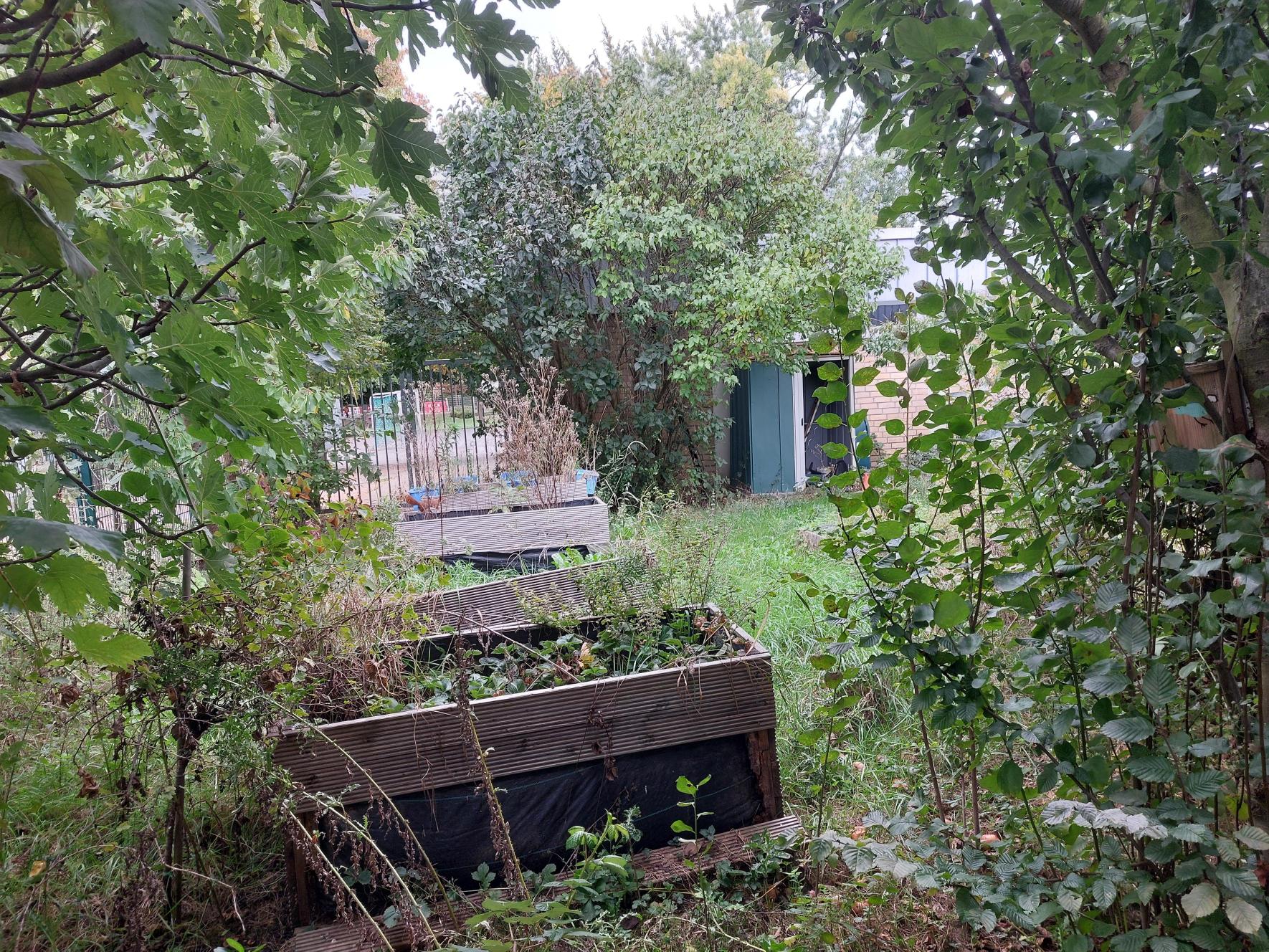 Schulgarten 1