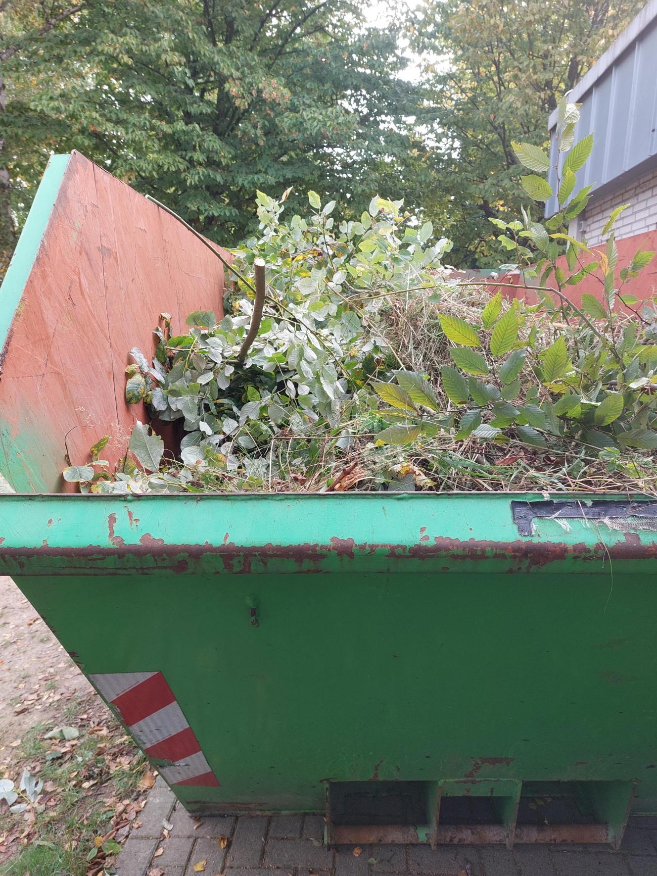 Schulgarten 2