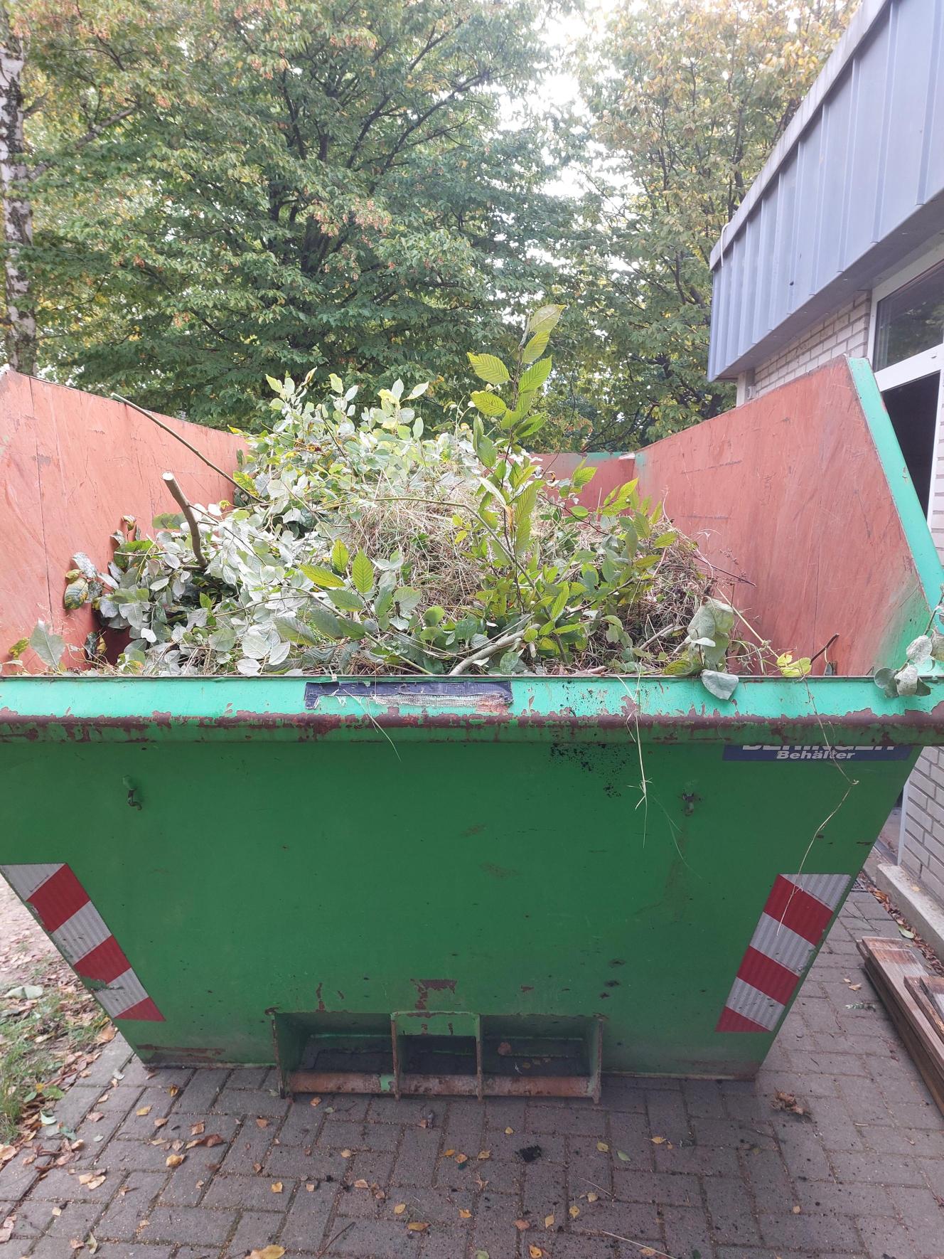 Schulgarten 4